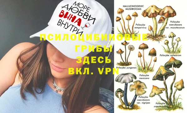 каннабис Алексеевка