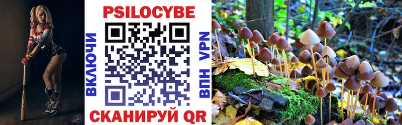 ОМГ ОМГ зеркало  Кириши  Псилоцибиновые грибы мухоморы 