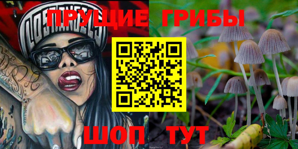 Псилоцибиновые грибы Psilocybe Кириши