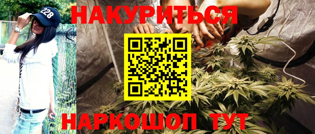 МАРИХУАНА ГИДРОПОН  Каннабис гибрид  Кириши  Вход с VPN 